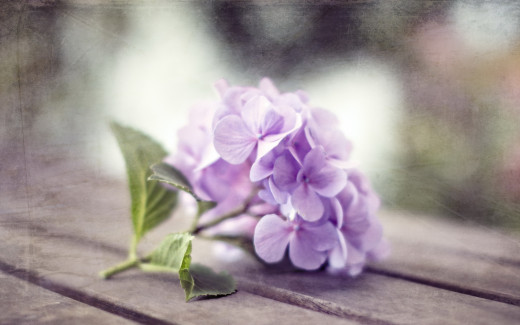 863826 (a): :2560x1600